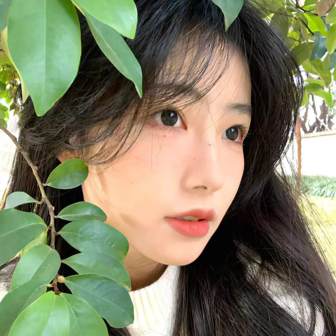 青春传奇